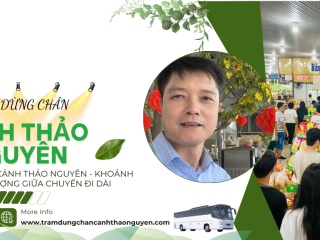 Trạm Dừng Chân Cảnh Thảo Nguyên Định Quán – Điểm Nghỉ Thuận Tiện Cho Hành Trình Sài Gòn Đi Đà Lạt
