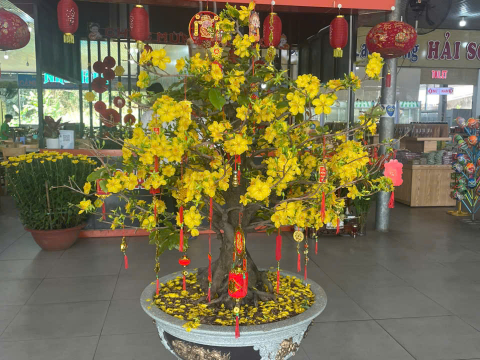 Cảnh Thảo Nguyên – Không Gian Dừng Chân Giữa Thiên Nhiên